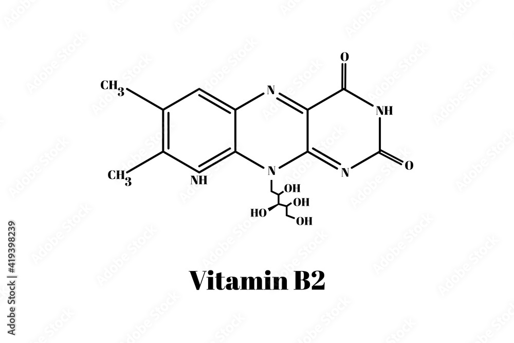 Formula of chemical structure of vitamin B2 .Vector EPS 10. Stock