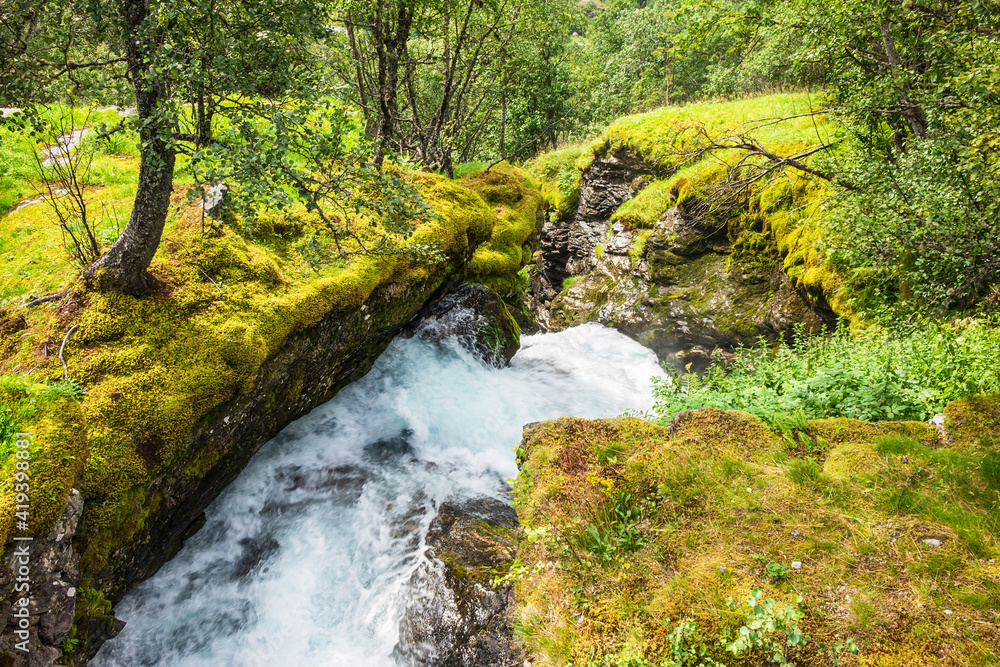 Fototapeta premium Ein Bach im Wald in Norwegen
