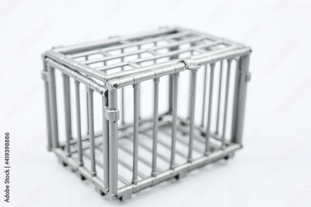 Prison bars isolated on white. Steel cage.
Prison bars isolated on white. Steel cage.