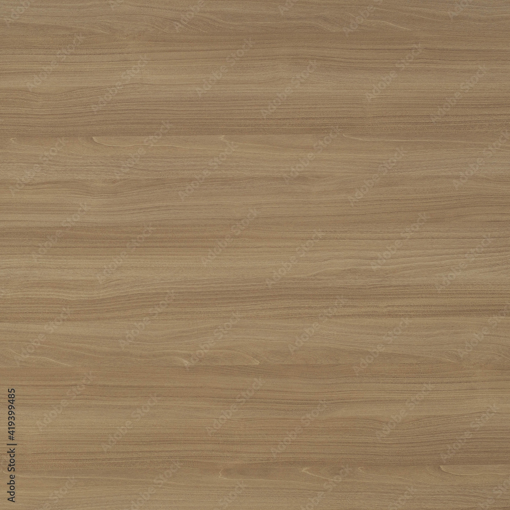 Fototapeta premium Wood texture background. Natural wooden surface