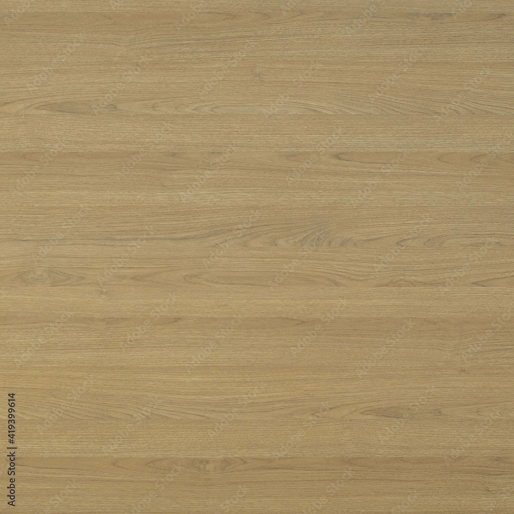 Fototapeta premium Wood texture background. Natural wooden surface