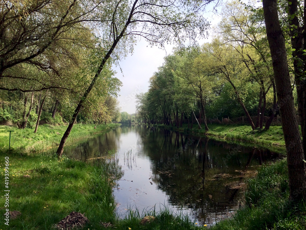 River course and trees near Berlin, Germany River course and trees near Berlin, Germany