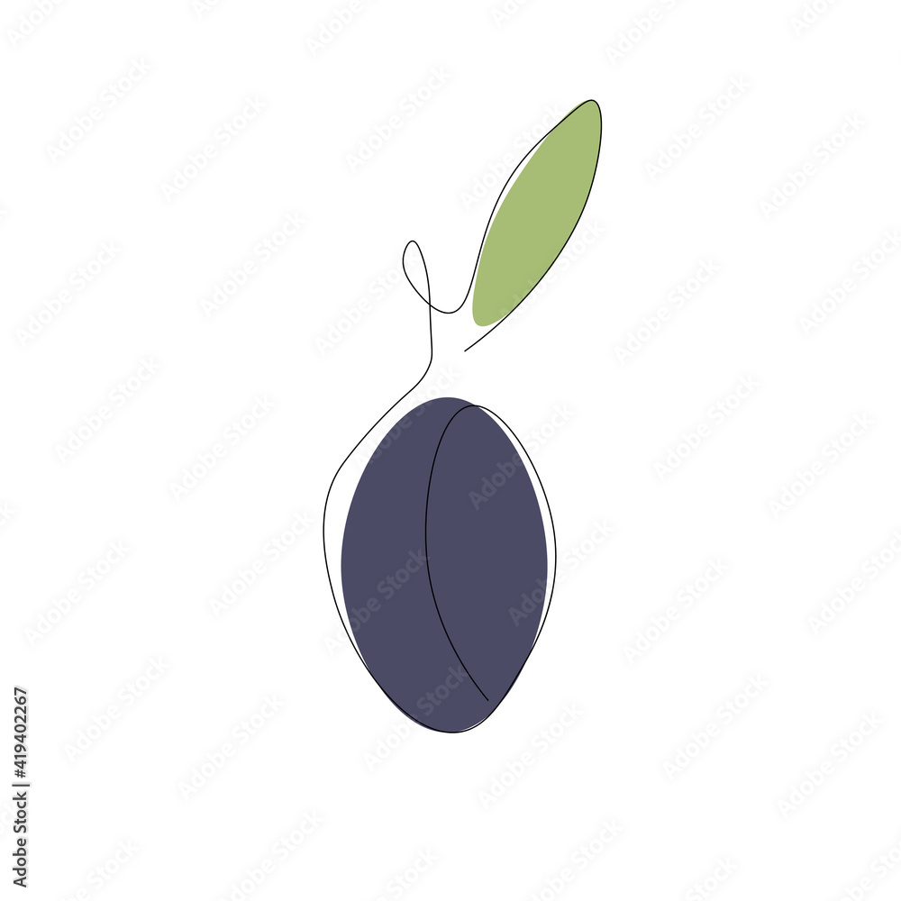 Fototapeta premium Plum fruit on white background, vector illustration