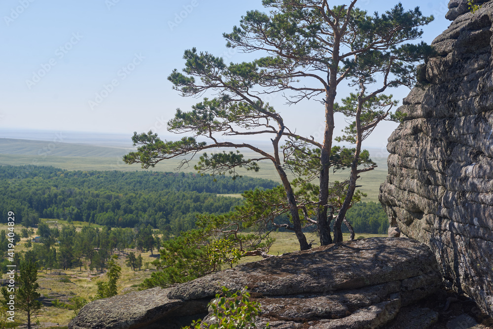 The top of a mountain range against the background of fields and forests The top of a mountain range against the background of fields and forests