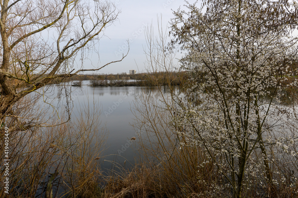 Aubépine, Crataegus monogyna, Lac , hiver, espace naturel protégé, Viry Châtillon, 91 ,Essonne, Aubépine, Crataegus monogyna, Lac , hiver, espace naturel protégé, Viry Châtillon, 91 ,Essonne,
