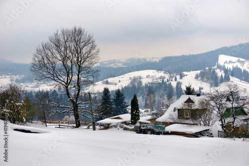 Typical landscape of the Ukrainian Carpathians with private estates in winter © nikitos77
