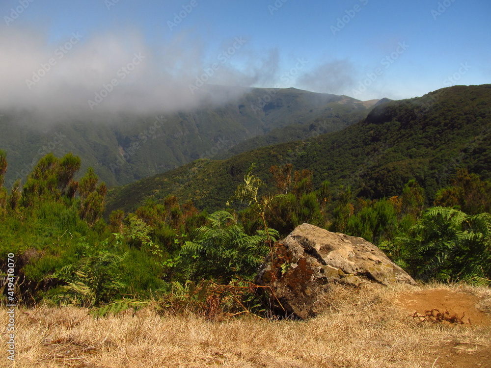 Sucha trawa i kamień na tle góry w obłokach, Madera, Portugalia - obrazy, fototapety, plakaty 