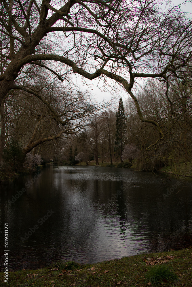 Late afternoon Spring walk in the park