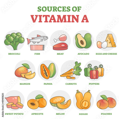 Sources of vitamin A as healthy nutrition food examples in outline diagram