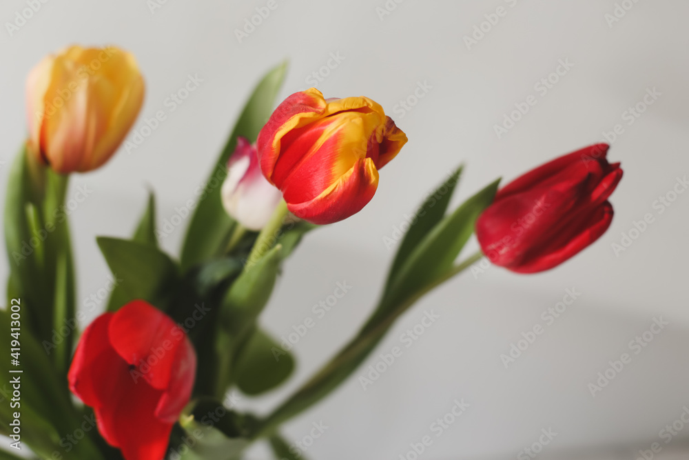 A bouquet of beautiful yellow and red tulips close-up A bouquet of beautiful yellow and red tulips close-up