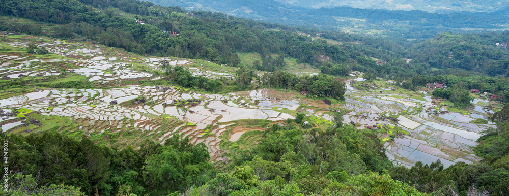 Rice terraces carved into steep mountainsides in Tana Toraja, centrally placed in the island of Sulawesi. The Torajan economy was based on agriculture, with cultivated wet rice, cassava and maize crop