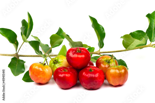 Pile of Acerola Cherry or Barbados Cherry with branch isolated on white background.