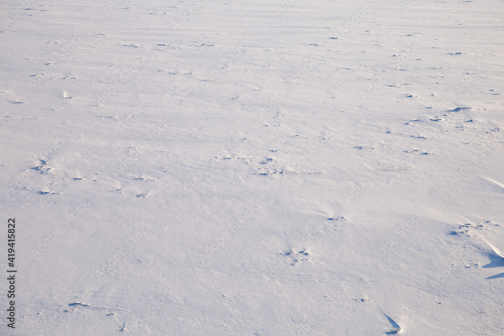 Snow Covered Field On A Sunny Day. Snow Texture Background Snow Covered Field On A Sunny Day. Snow Texture Background