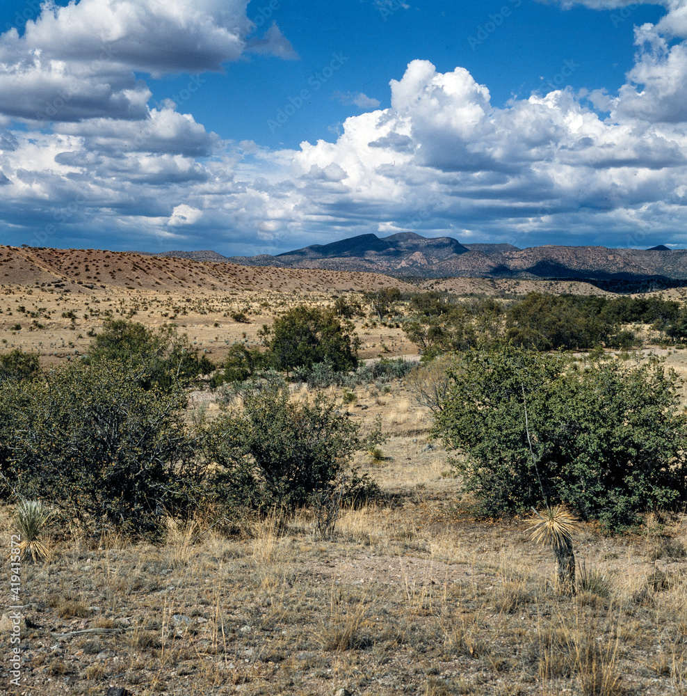 Desert and clouds. Scrubs. Gila National Park New Mexico USA Desert and clouds. Scrubs. Gila National Park New Mexico USA