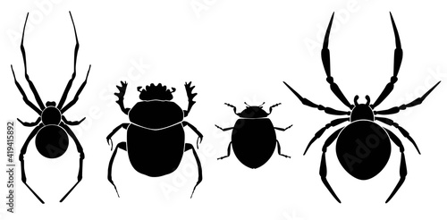 Vector collection of 4 insects silhouettes. Spider male, scarab bug, ladybug, spider female. Minimal graphic illustration.