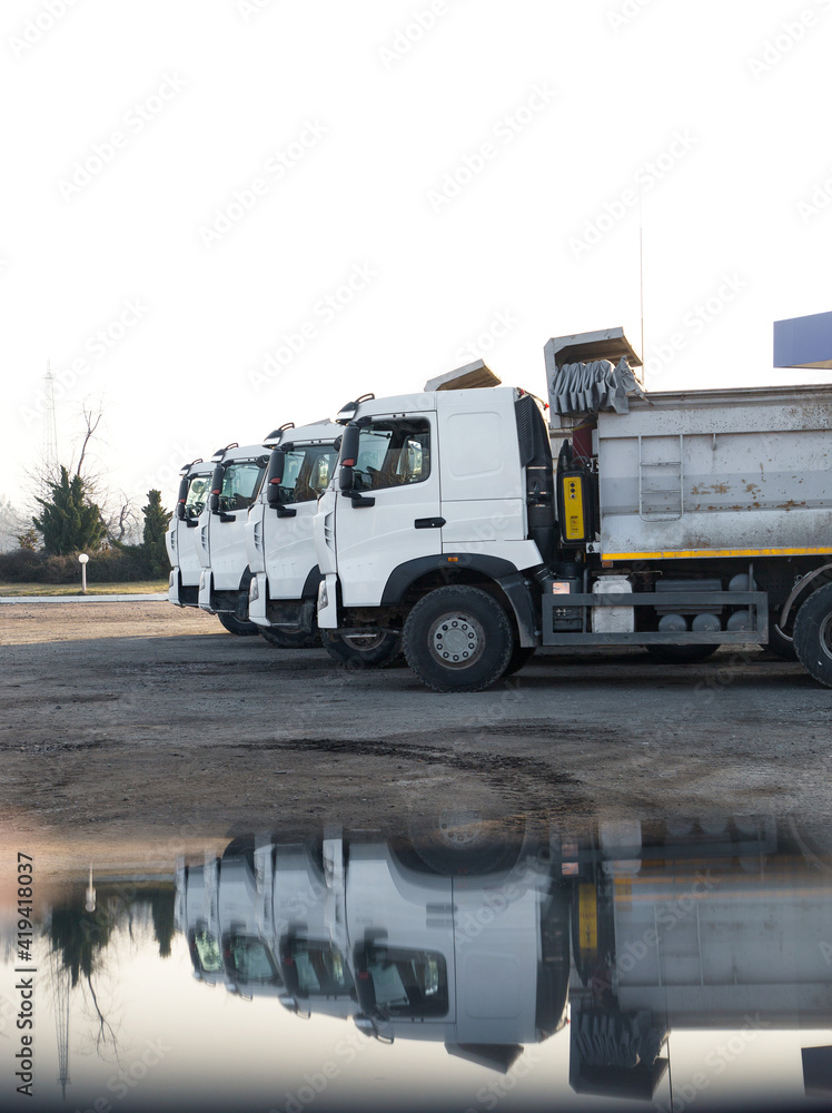 Four dump trucks with white clean cabs stand beautifully in a row next to each other. At the bottom of the frame is a reflection of these trucks. Delivery, logistics, construction. Copy space