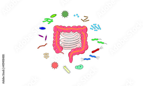 Intestinal microbiota [gut microbiome]