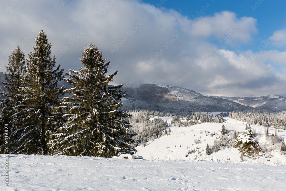 Nice winter day in Carpathian mountains