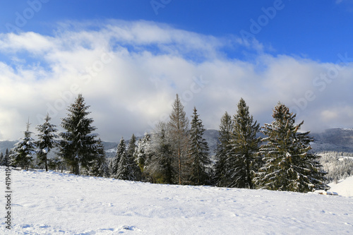 winter landscape in Carpathians © Pavlo Klymenko