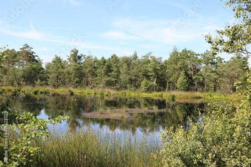 Einzigartige Naturlandschaft im Pietzmoor in der Lüneburger Heide