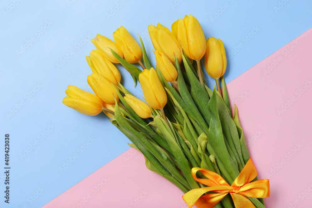 many tulips with yellow petals on a blue, pink background many tulips with yellow petals on a blue, pink background