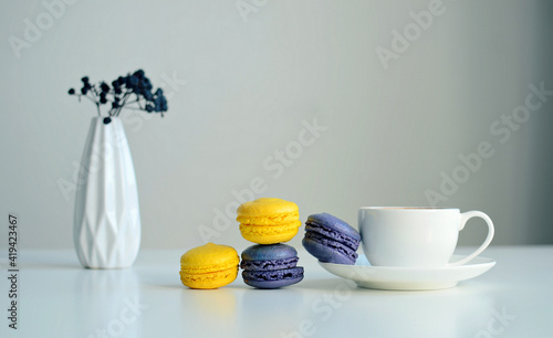 White cup of coffee, multicolored macaroons, vase with a sprig of dried berries on white background, close up