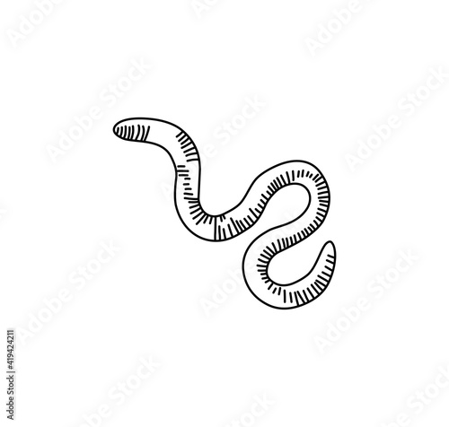 earthworms vector illustration isolated on white