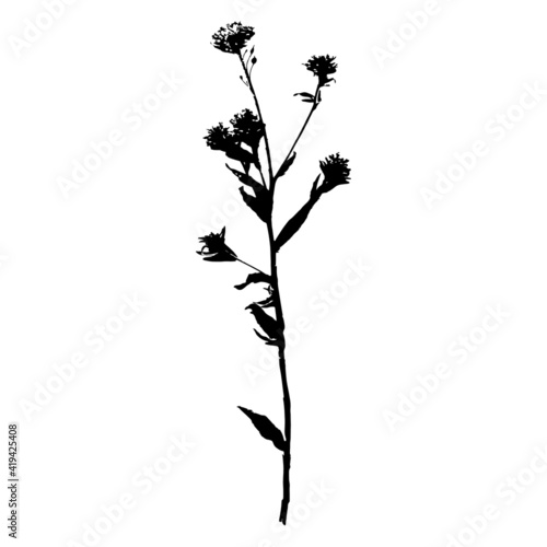 Imprint field grass black silhouettes. Decorative grass isolated elements on a white background. Suitable for design postcards, patterns. Stock vector illustration.