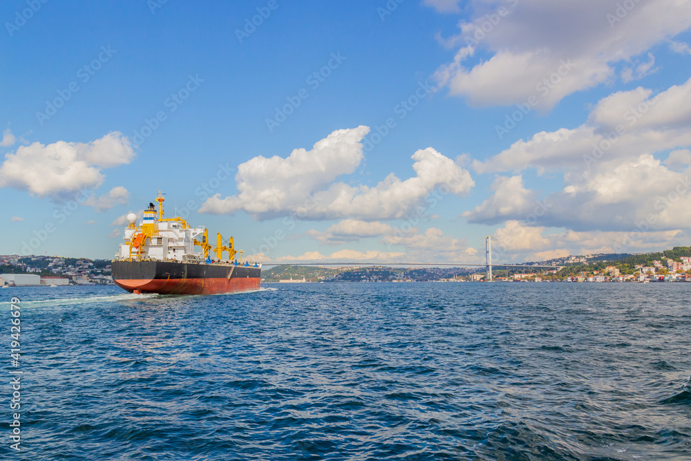 Fototapeta premium Dry cargo ship in Bosporus Strait, Istanbul, Turkey