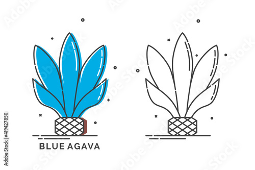 Blue agave plant for distill tequila. Isolated logo on white background. Two kinds flat style image of agricultural product with text caption. Line art design in thin dashed lines