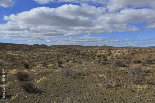 Canvas Print landscape of open spaces in the karoo desert