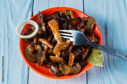 Armillaria mellea or honey fungus marinated in an orange plate with spices and onions on a blue table. Idea for a delicious snack for breakfast or lunch. Top view photo