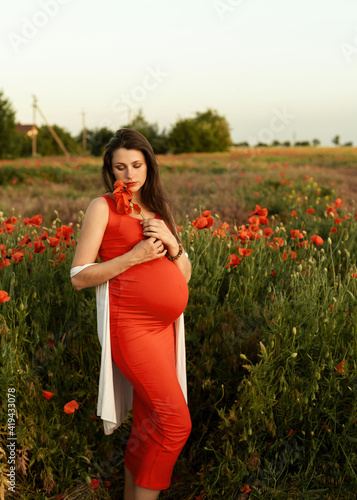 portrait of a pregnant woman in a poppy field