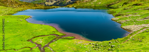 Unberührter Blauer Bergsee in einer Grünen Bergwiese