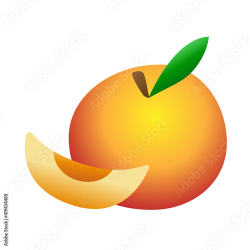 Vector flat illustration of peach in cartoon style. Juicy whole peach and its slice isolated on white background.