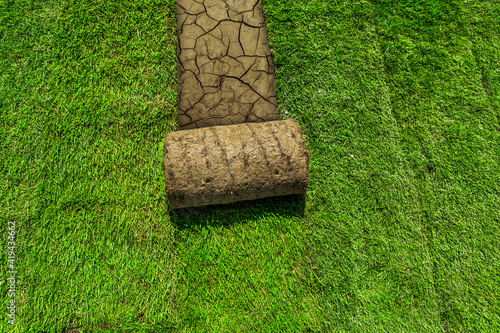 Auslegung von Rollrasen auf Trockenem Erdboden