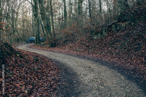 Le Bois de la Folie