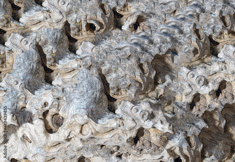 Structure of a tropical root made from several pictures, photographed in the studio Structure of a tropical root made from several pictures, photographed in the studio
