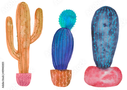 Set of watercolor 3 cactus, decorative set on white background
