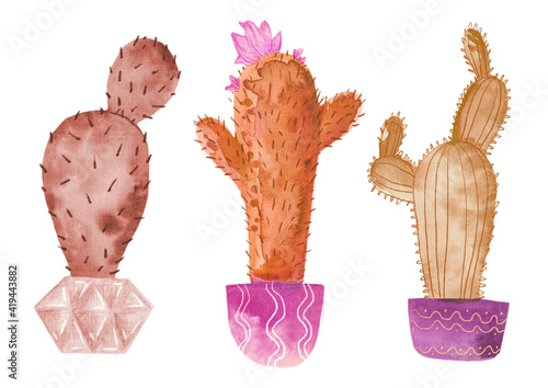 Set of 3 watercolor cactus on white background
