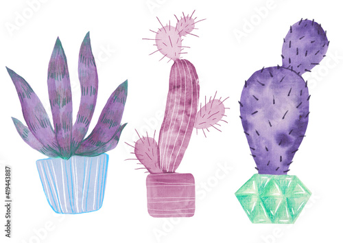 3 cute lilac cactus and succulents set, clipart illustration set