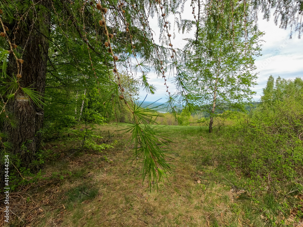 Fototapeta premium Landscape of Beskidy mountains in Poland taken in sunny spring. Mountain panorama captured during trekking.