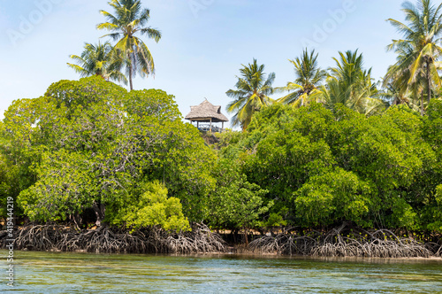 Mangroves with coconut palms