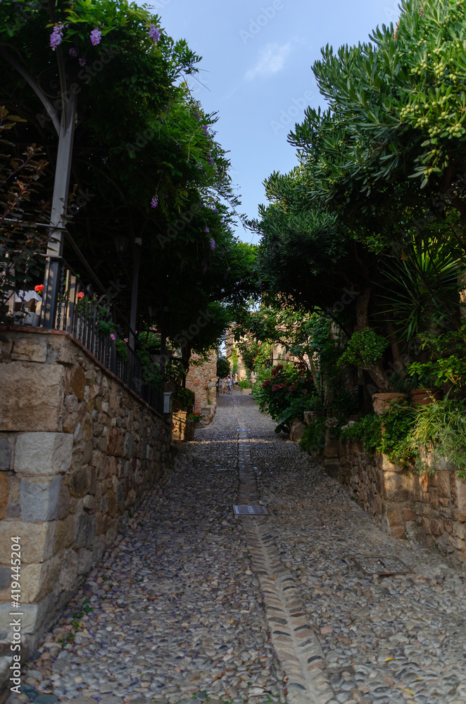 street in the town