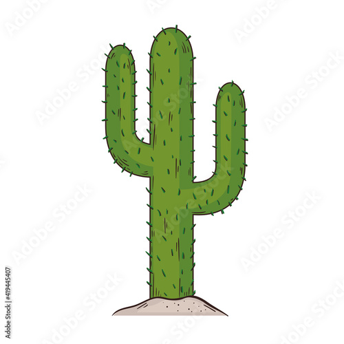 cactus dry plant exotic icon