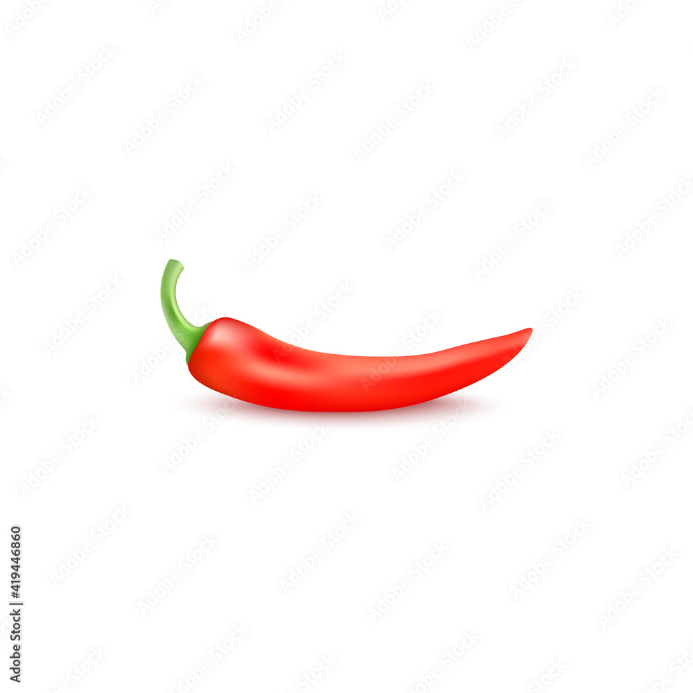Red hot chili pepper a vector realistic 3d isolated illustration.
