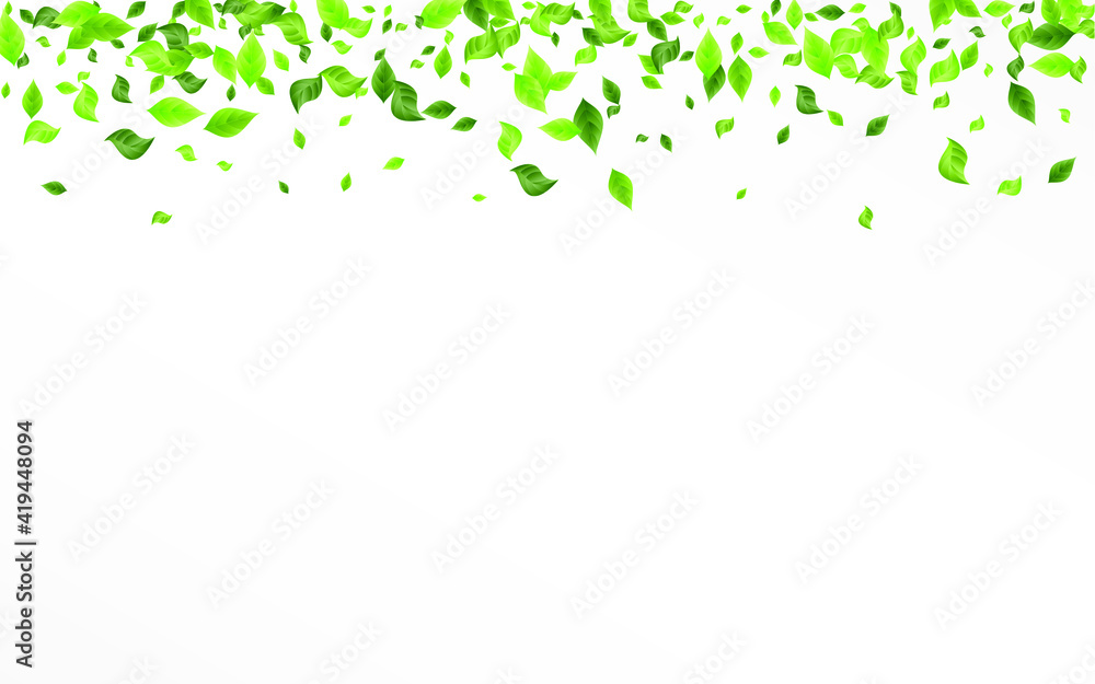Olive Greenery Herbal Vector White Background Design. Motion Foliage Pattern. Swamp Leaves Forest Poster. Leaf Nature Backdrop. Olive Greenery Herbal Vector White Background Design. Motion Foliage Pattern. Swamp Leaves Forest Poster. Leaf Nature Backdrop.