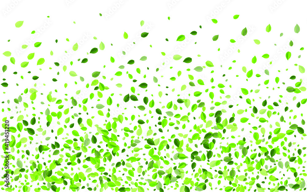 Green Leaf Nature Vector Template. Swirl Foliage Poster. Mint Greens Fly Wallpaper. Leaves Realistic Illustration. Green Leaf Nature Vector Template. Swirl Foliage Poster. Mint Greens Fly Wallpaper. Leaves Realistic Illustration.
