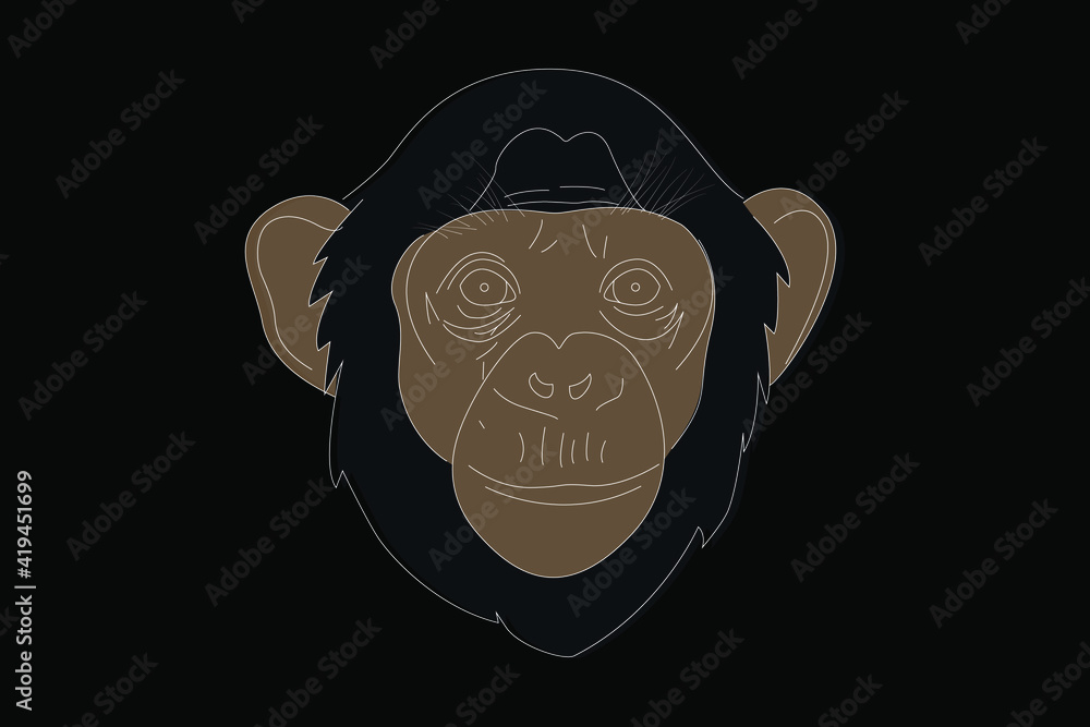 Monkey drawing. Monkey head full face. Simple linear drawing of a monkey. Wild animal Monkey drawing. Monkey head full face. Simple linear drawing of a monkey. Wild animal