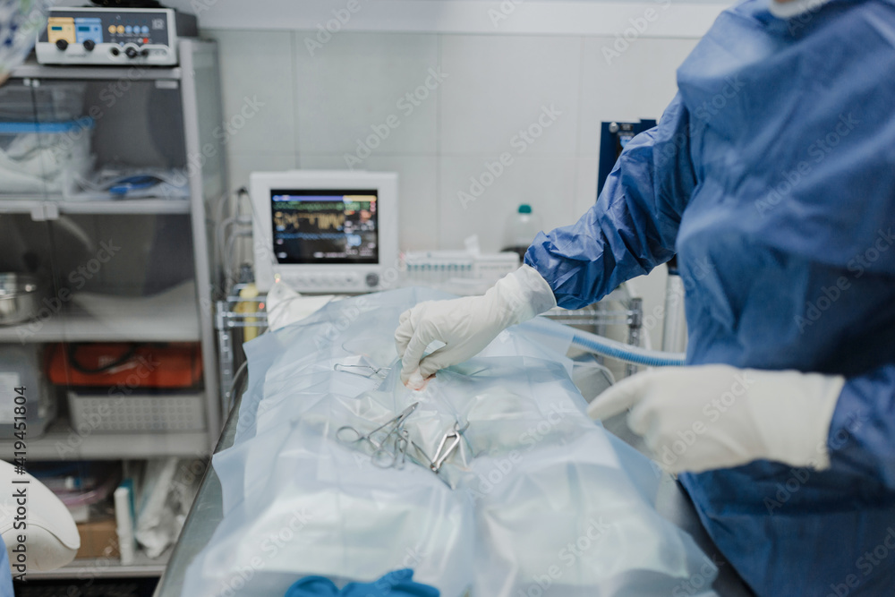 Side view of crop anonymous veterinarian in uniform operating animal patient under fabric with professional instruments in hospital Side view of crop anonymous veterinarian in uniform operating animal patient under fabric with professional instruments in hospital